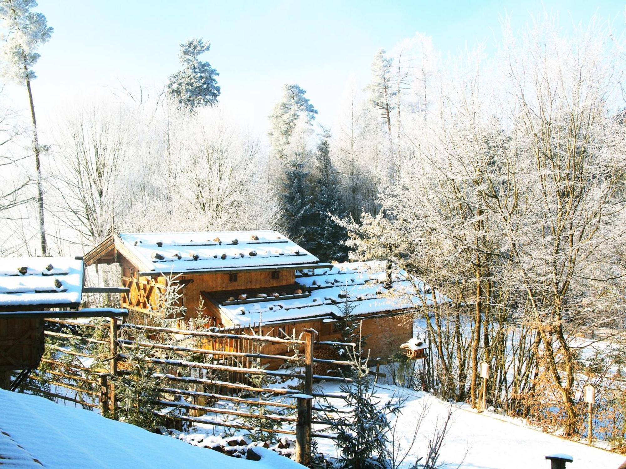 Eco Friendly Chalet Near The Lake In Asten Tittmoning Dış mekan fotoğraf